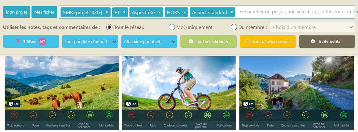 Apidaephoto ET HORS.jpg