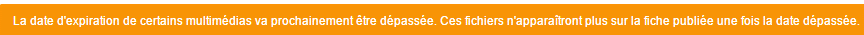 30.png