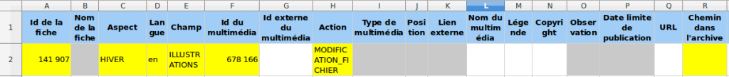 145-1024x109.png